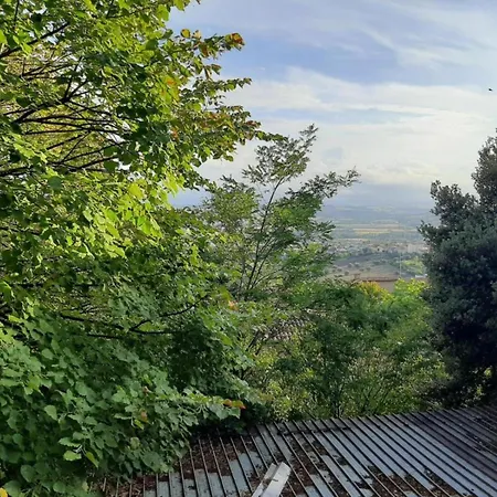 In Palazzina D'epoca Osimo
